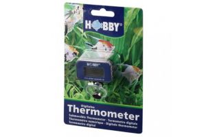 Thermomètre aquatique électronique
